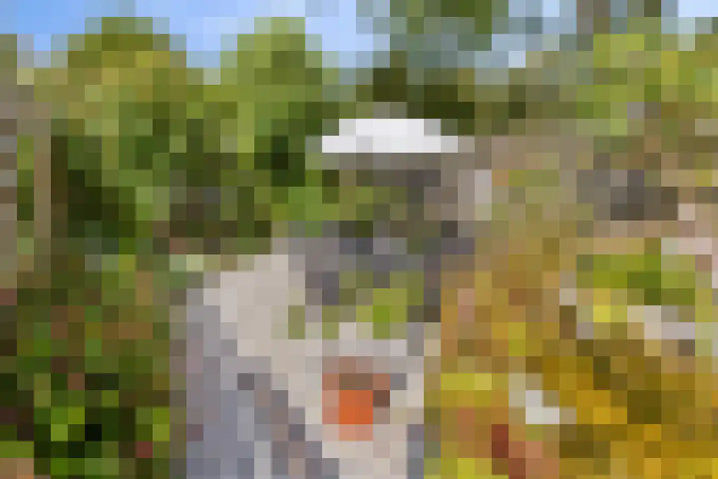 Margrietstraat 7 Zonnemaire thumbnail 43