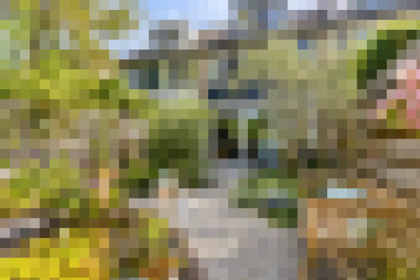 Margrietstraat 7 Zonnemaire thumbnail 44