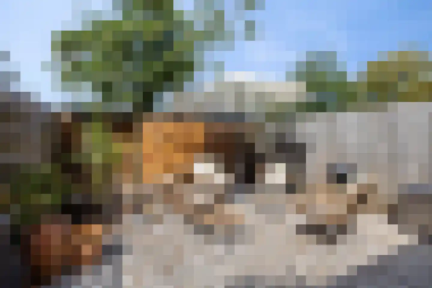 Margrietstraat 7 Zonnemaire thumbnail 47