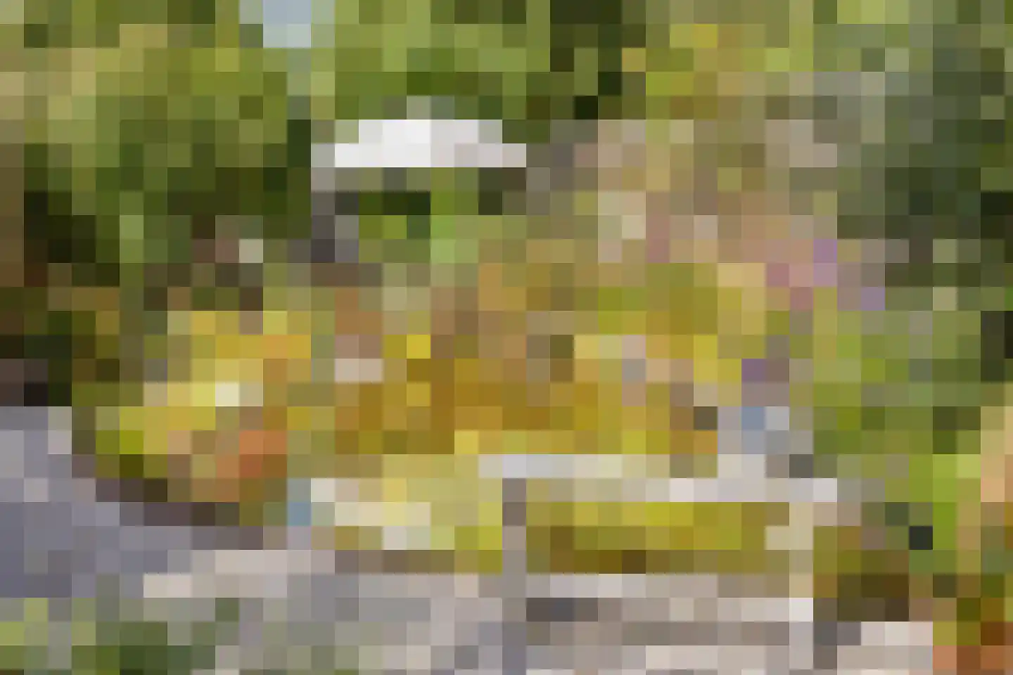 Margrietstraat 7 Zonnemaire thumbnail 49