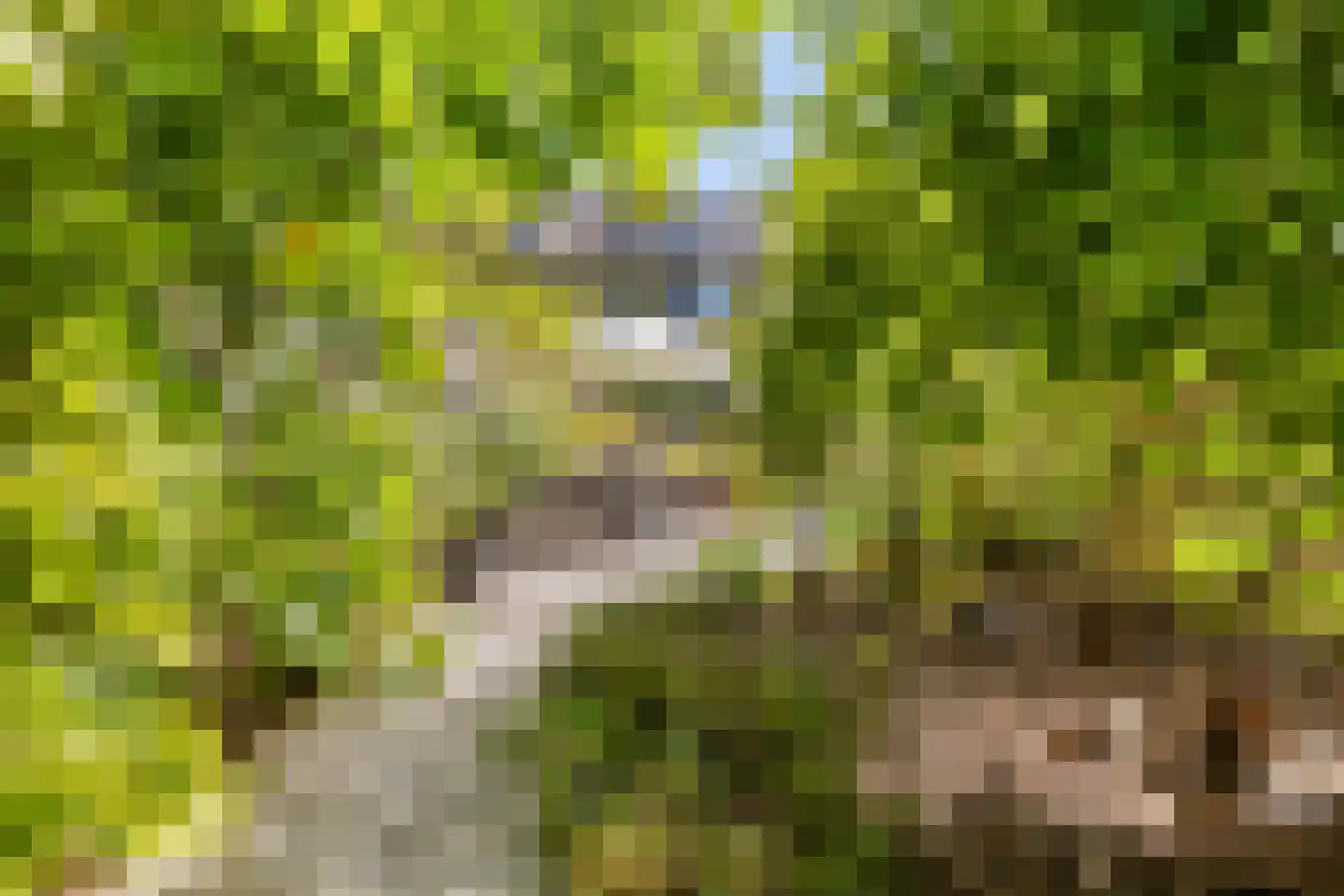 Margrietstraat 7 Zonnemaire thumbnail 51