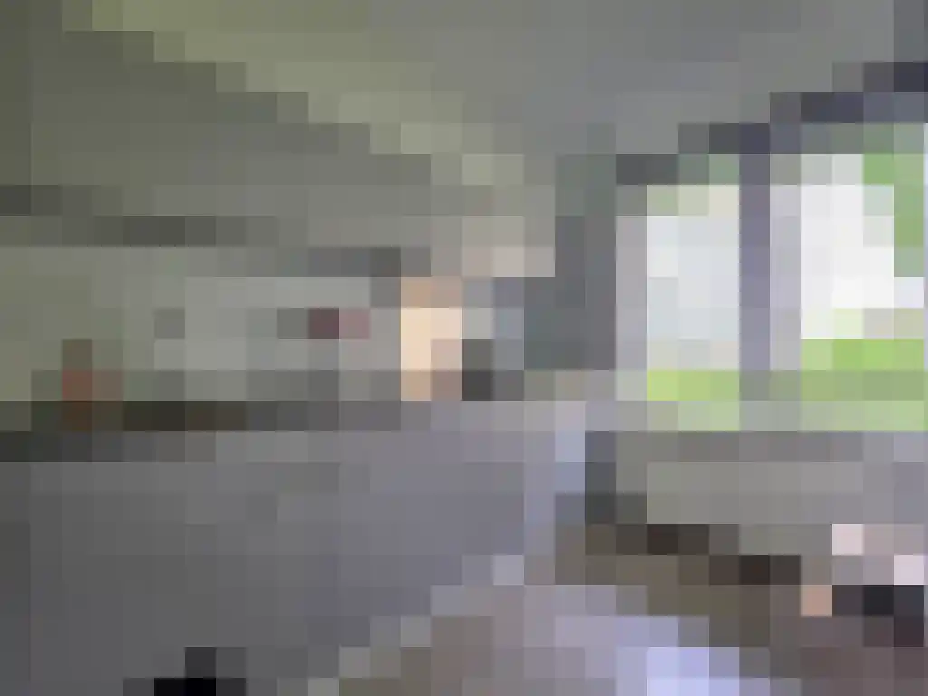 Margrietstraat 73 Beek thumbnail 6