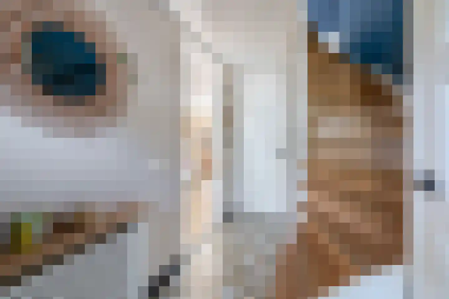 Margrietstraat 73 Waalwijk thumbnail 6