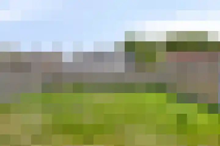 Margrietstraat 8 Berlicum thumbnail 20