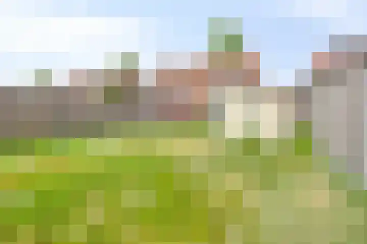 Margrietstraat 8 Berlicum thumbnail 21
