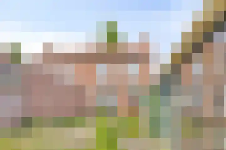 Margrietstraat 8 Berlicum thumbnail 24