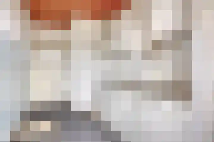 Margrietstraat 8 Berlicum thumbnail 8