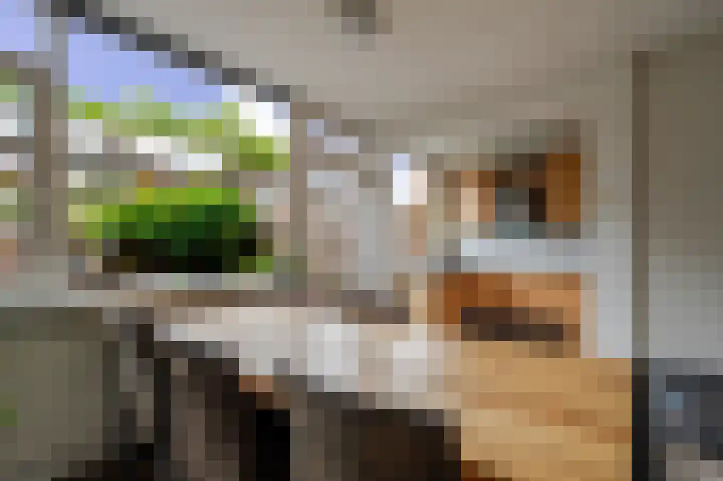 Margrietstraat 8 Rheden thumbnail 10