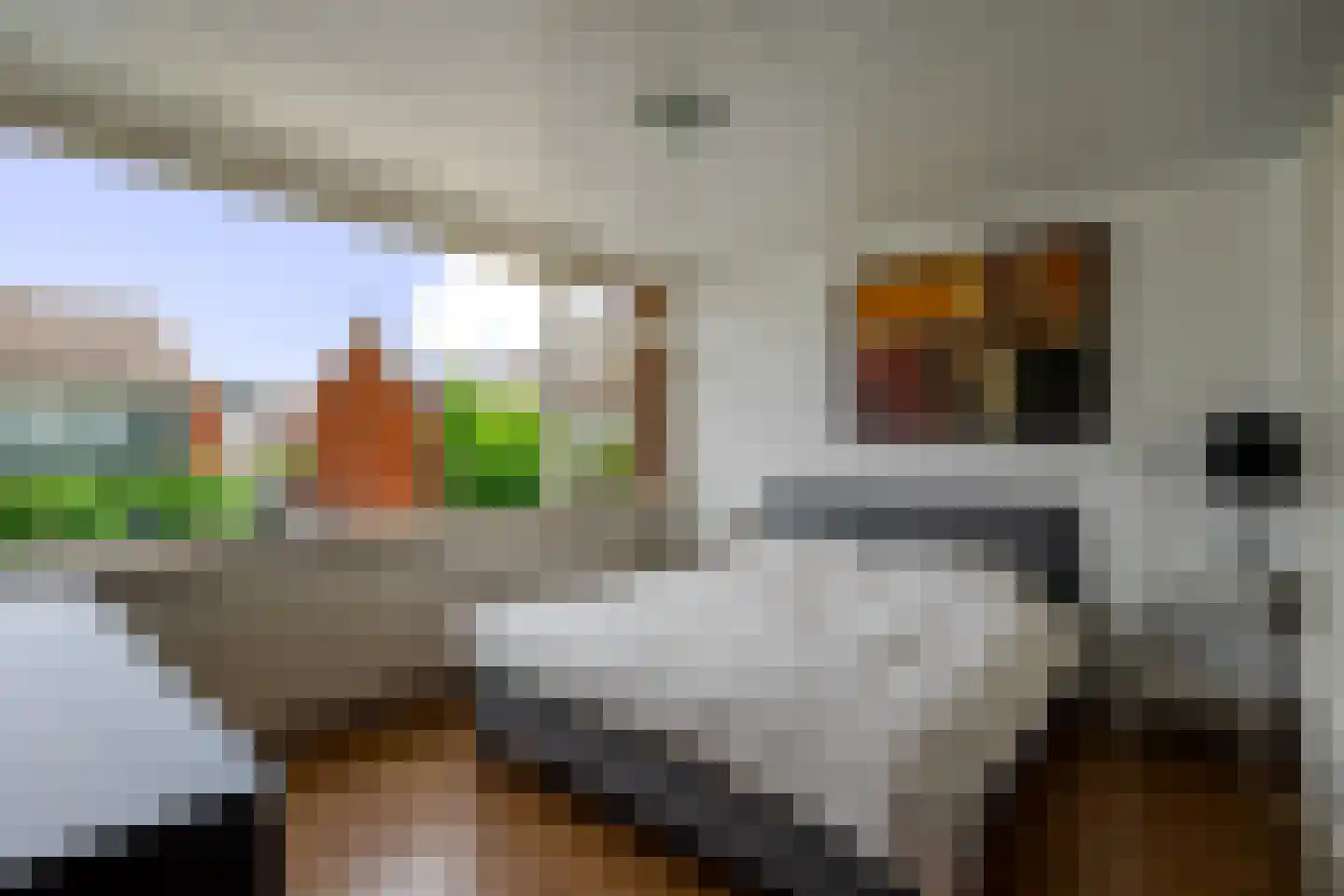 Margrietstraat 8 Rheden thumbnail 16