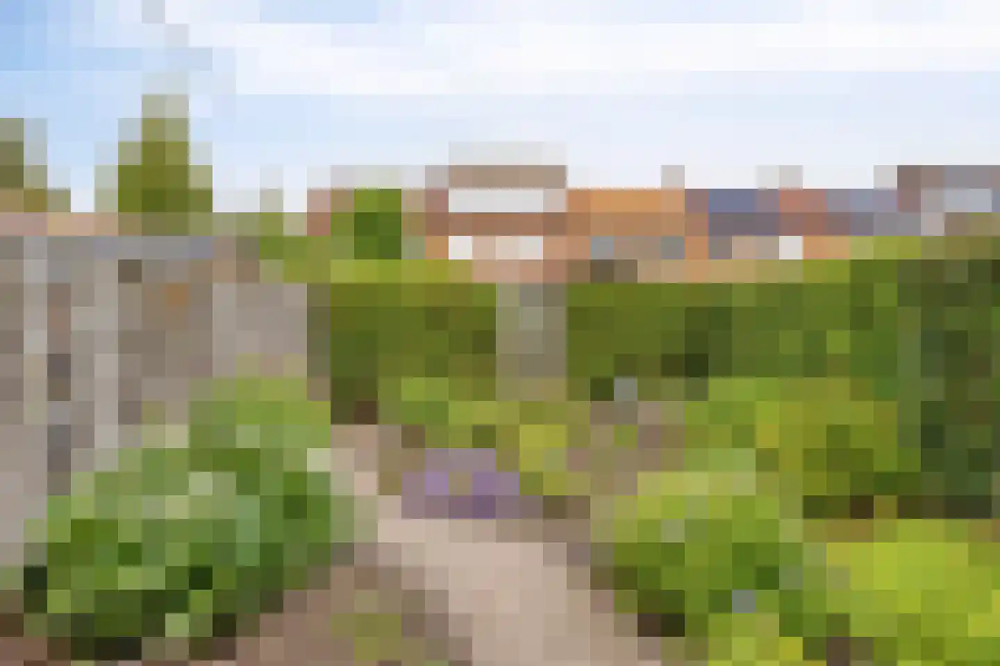 Margrietstraat 8 Terneuzen thumbnail 26