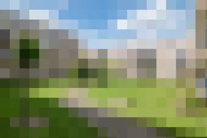 Margrietstraat 85 Beek thumbnail 8