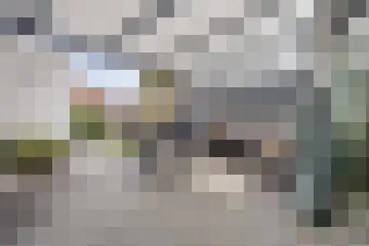 Margrietstraat 89 Waalwijk thumbnail 32