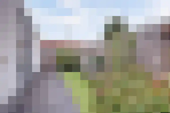 Margrietstraat 89 Waalwijk thumbnail 35