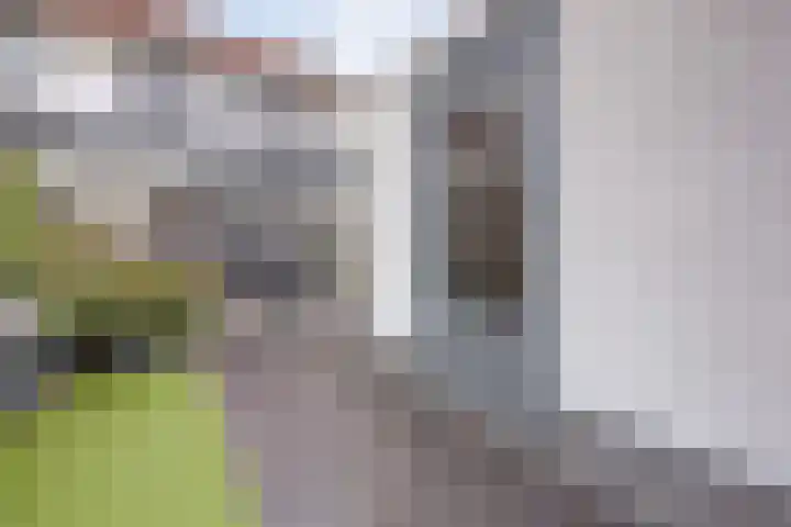 Margrietstraat 89 Waalwijk thumbnail 37