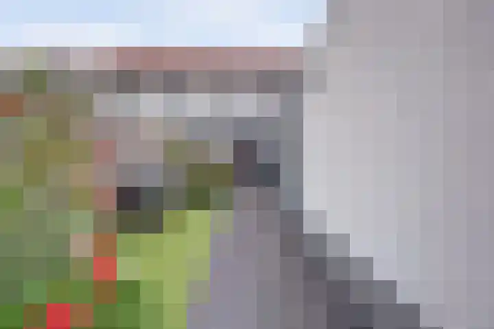 Margrietstraat 89 Waalwijk thumbnail 4