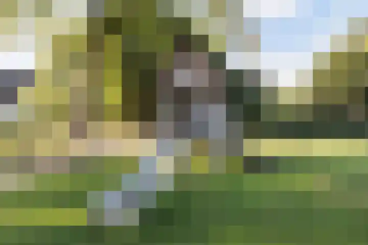 Margrietstraat 9 Rhoon thumbnail 40