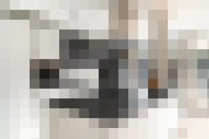 Margrietstraat 9 Rhoon thumbnail 9