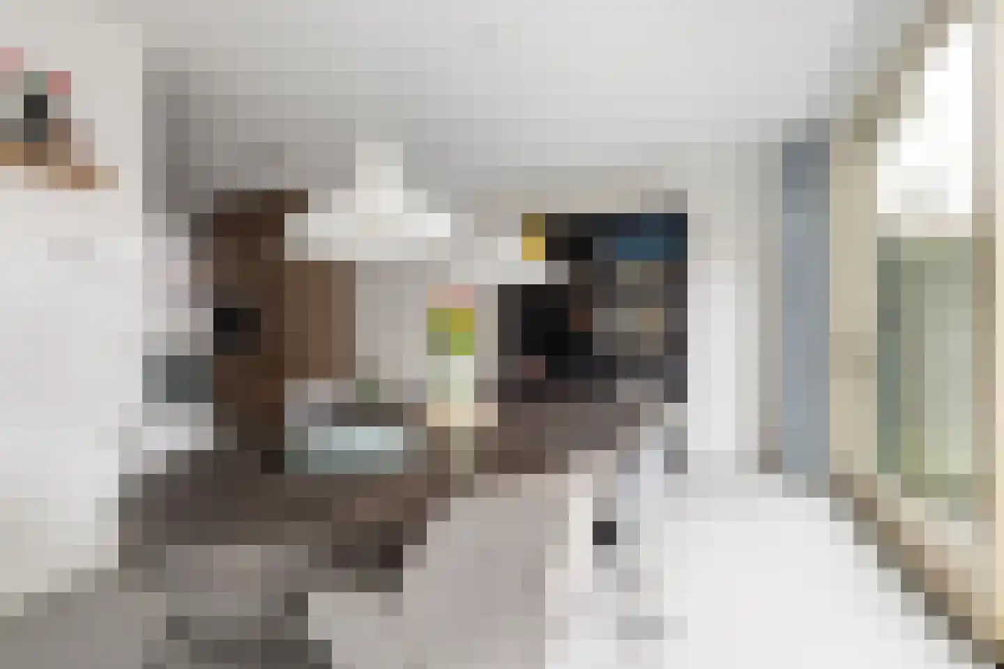 Margrietstraat 9 Rotterdam thumbnail 5