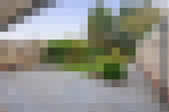 Margrietstraat 93 Waalwijk thumbnail 20