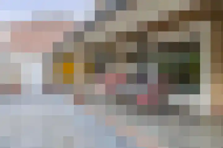 Margrietstraat 93 Waalwijk thumbnail 22