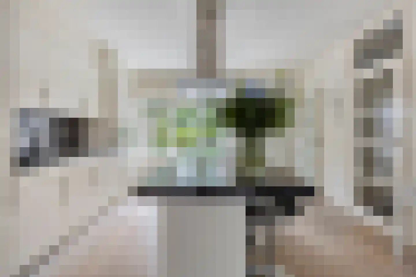 Margrietveld 2 Nieuwerkerk aan den IJssel thumbnail 10
