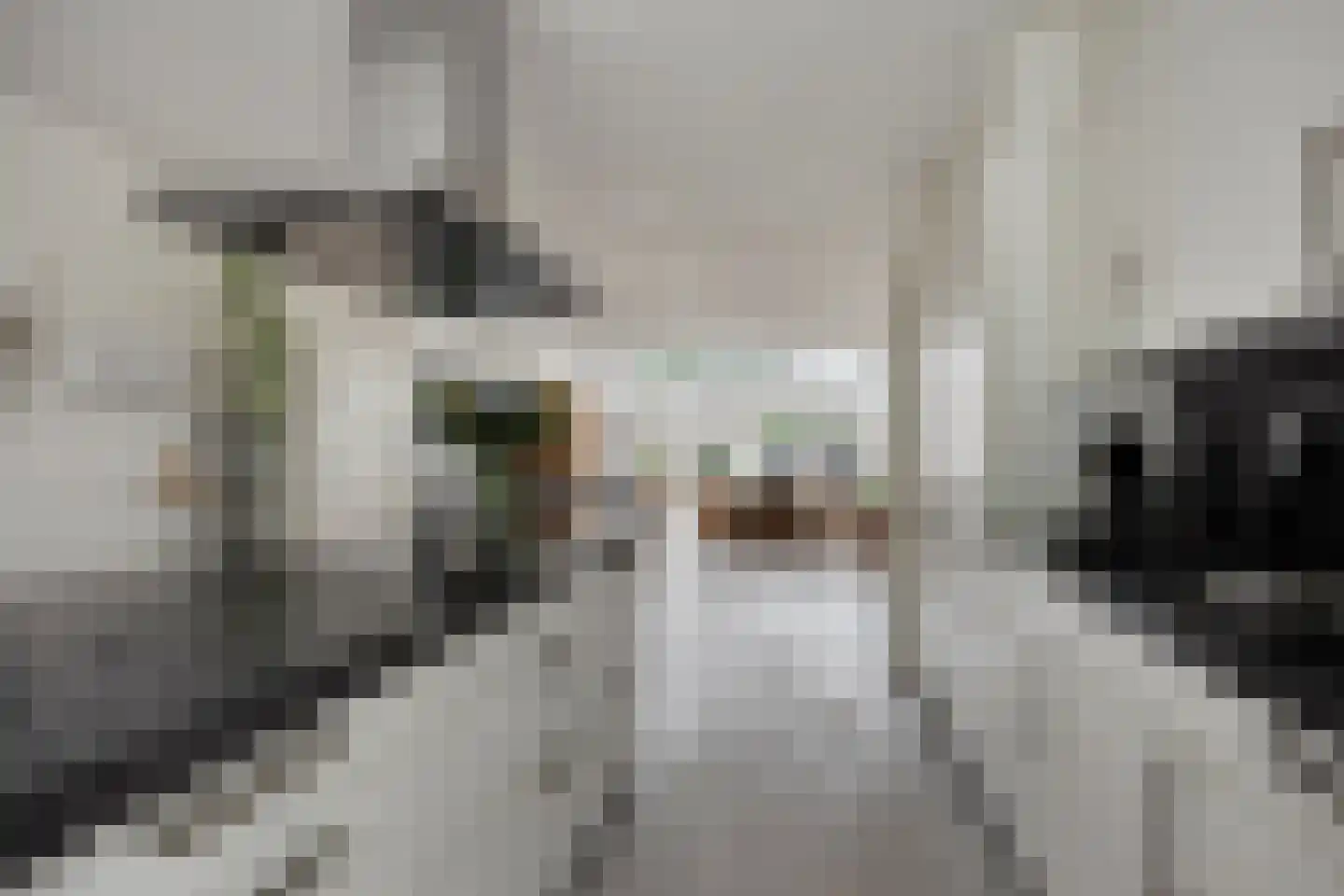 Margrietveld 2 Nieuwerkerk aan den IJssel thumbnail 12