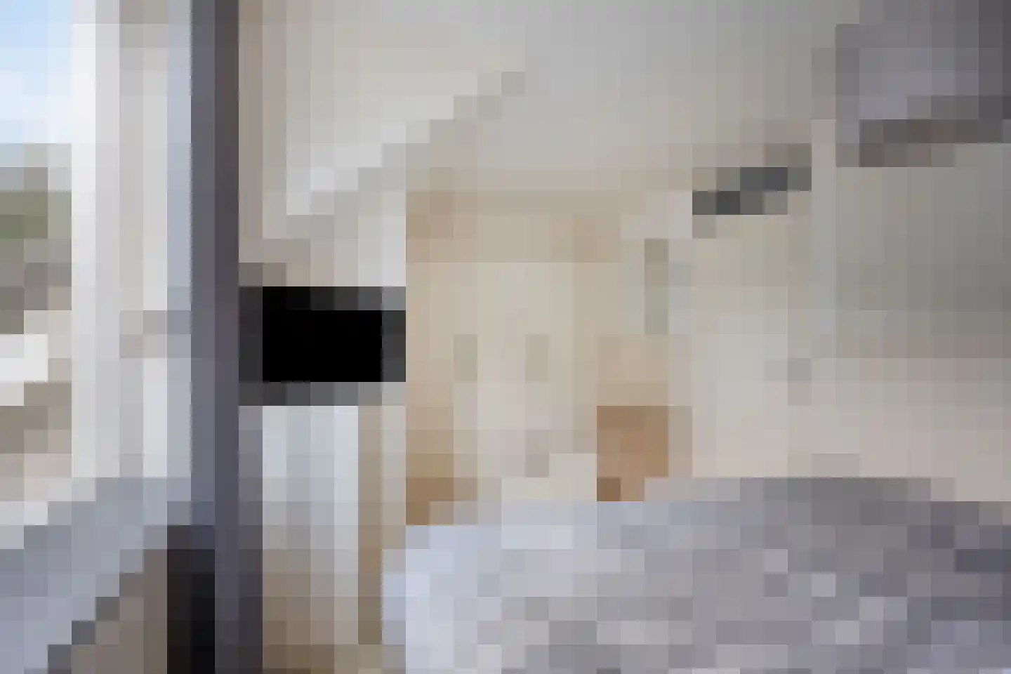 Margrietveld 2 Nieuwerkerk aan den IJssel thumbnail 18