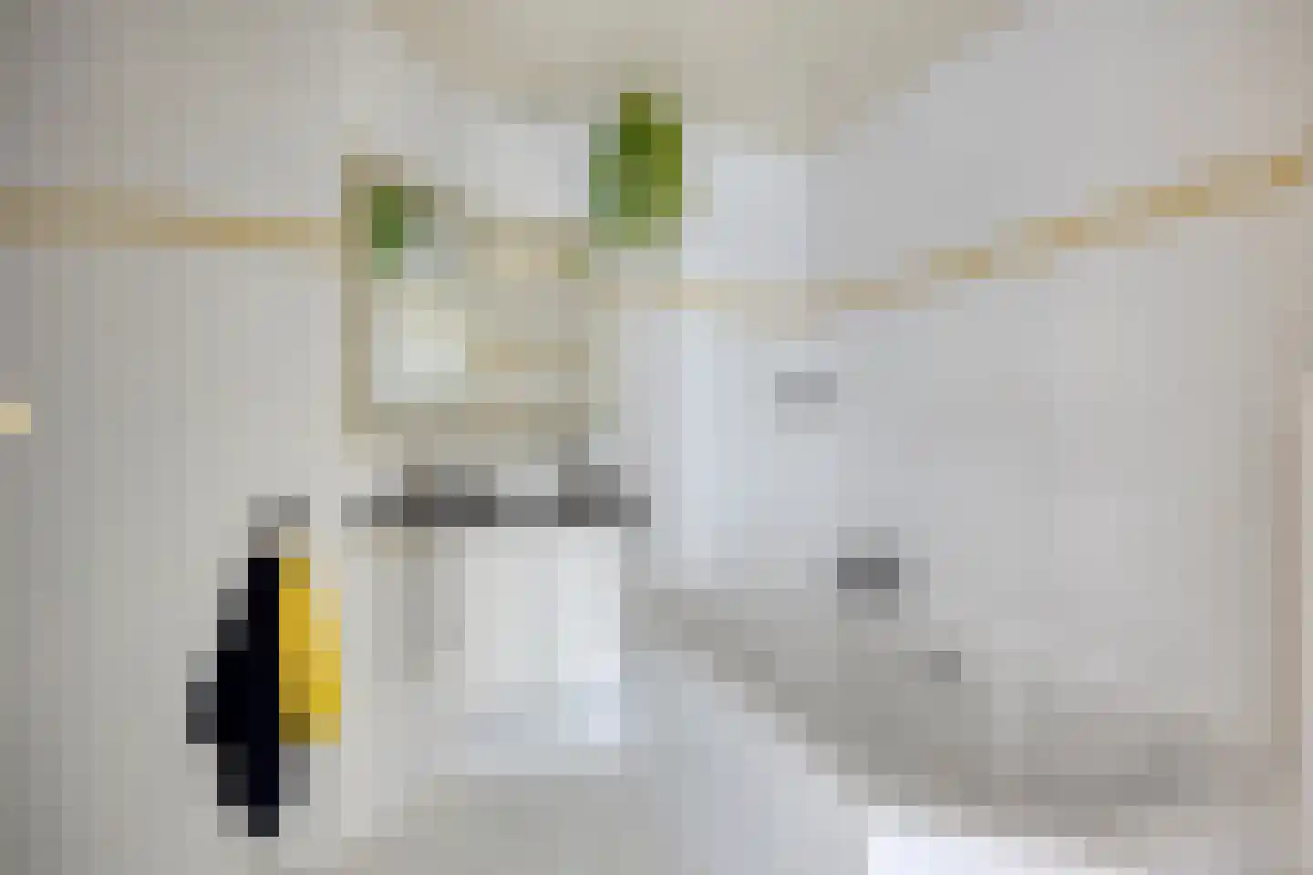 Margrietveld 2 Nieuwerkerk aan den IJssel thumbnail 20