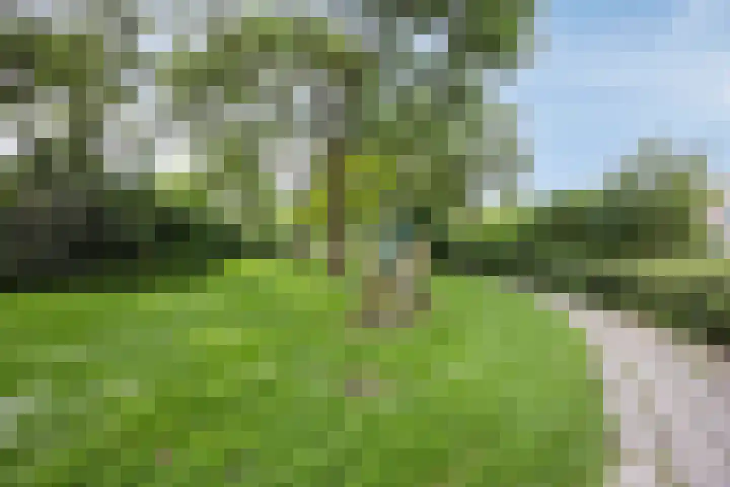 Margrietveld 2 Nieuwerkerk aan den IJssel thumbnail 33