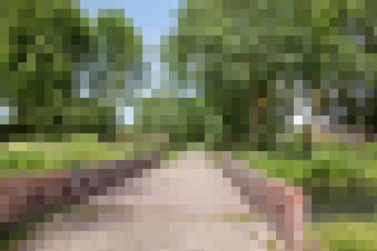 Margrietveld 2 Nieuwerkerk aan den IJssel thumbnail 34