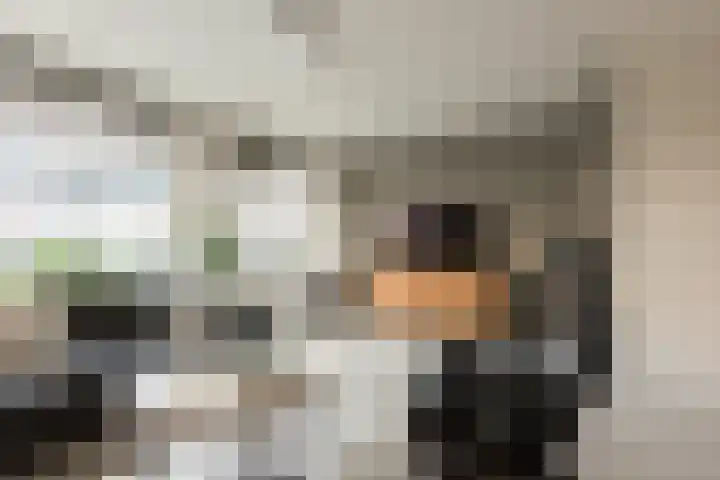 Margrietveld 25 Nieuwerkerk aan den IJssel thumbnail 10