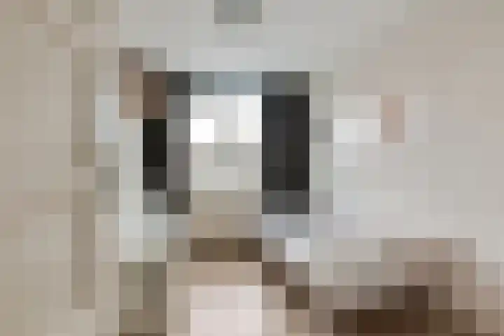 Margrietveld 25 Nieuwerkerk aan den IJssel thumbnail 21