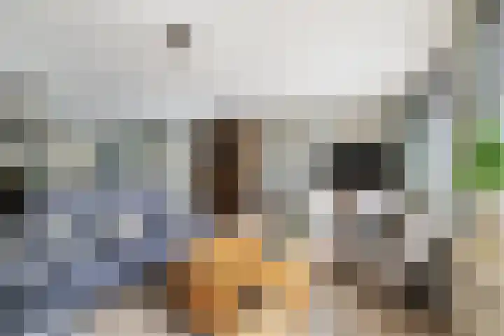 Margrietveld 28 Nieuwerkerk aan den IJssel thumbnail 6