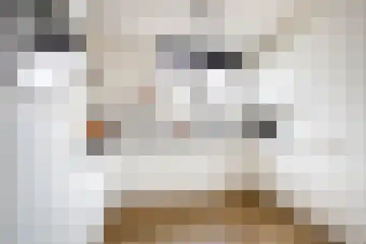 Margrietveld 37 Nieuwerkerk aan den IJssel thumbnail 23