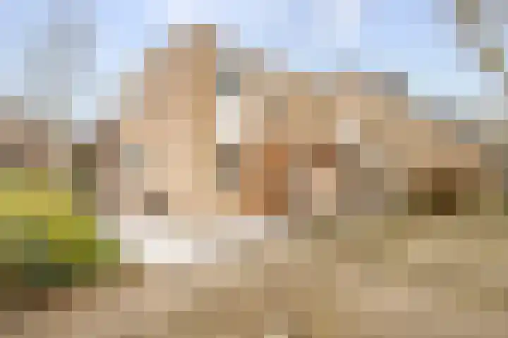 Margrietveld 37 Nieuwerkerk aan den IJssel thumbnail 31