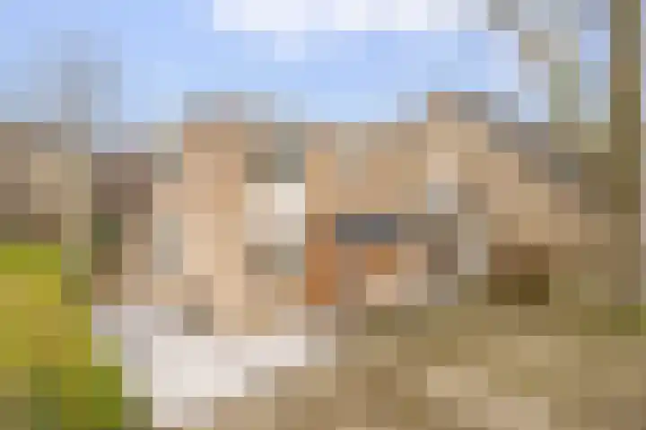 Margrietveld 37 Nieuwerkerk aan den IJssel thumbnail 32