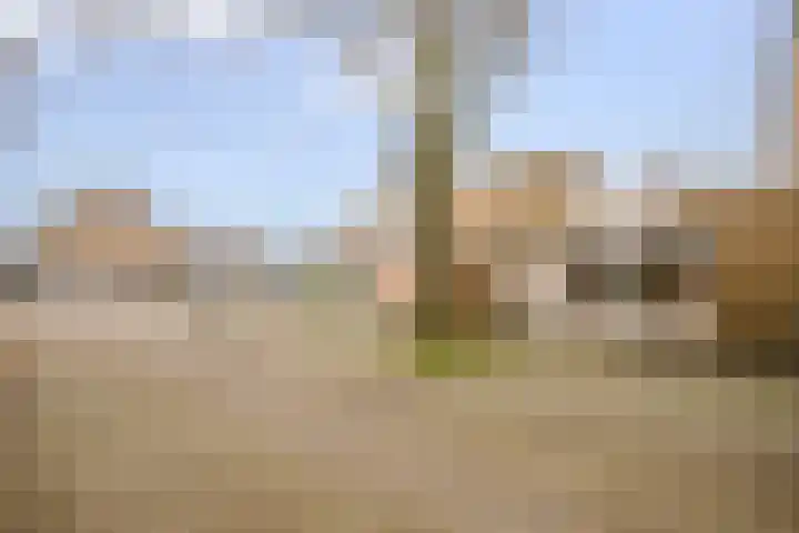 Margrietveld 37 Nieuwerkerk aan den IJssel thumbnail 34