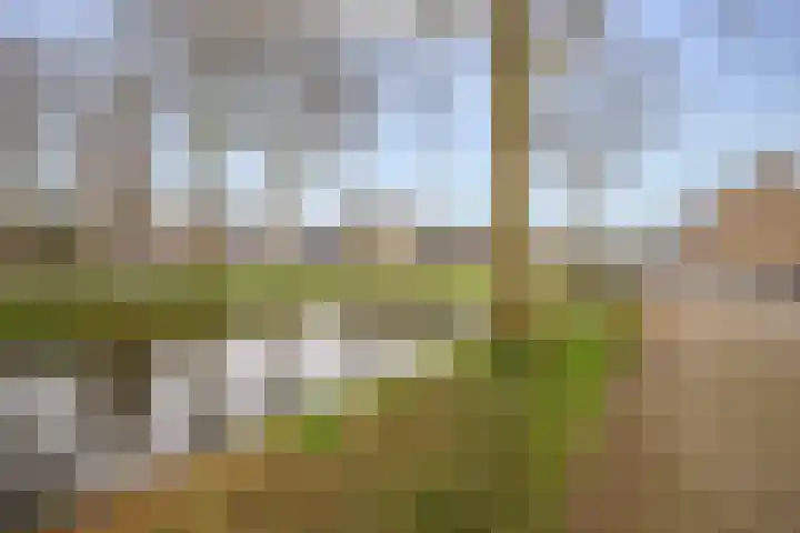 Margrietveld 37 Nieuwerkerk aan den IJssel thumbnail 35