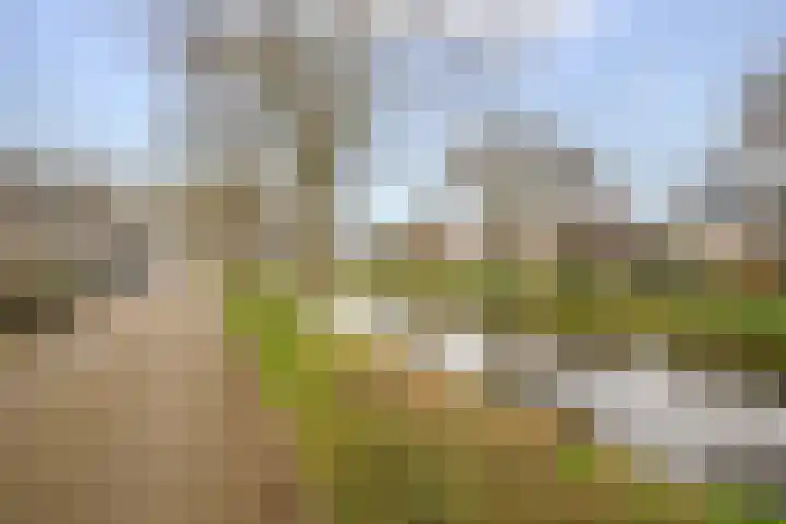 Margrietveld 37 Nieuwerkerk aan den IJssel thumbnail 36