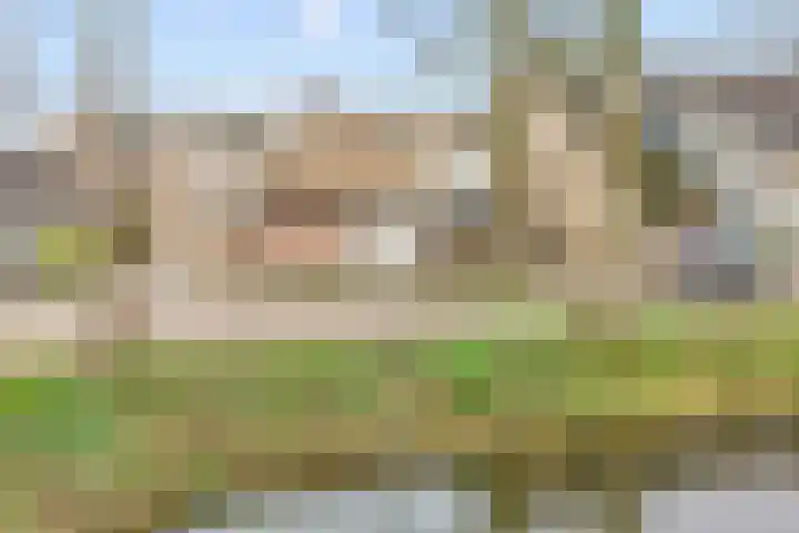 Margrietveld 37 Nieuwerkerk aan den IJssel thumbnail 38