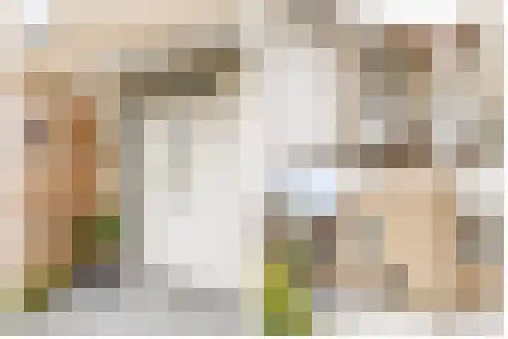 Margrietveld 37 Nieuwerkerk aan den IJssel thumbnail 6