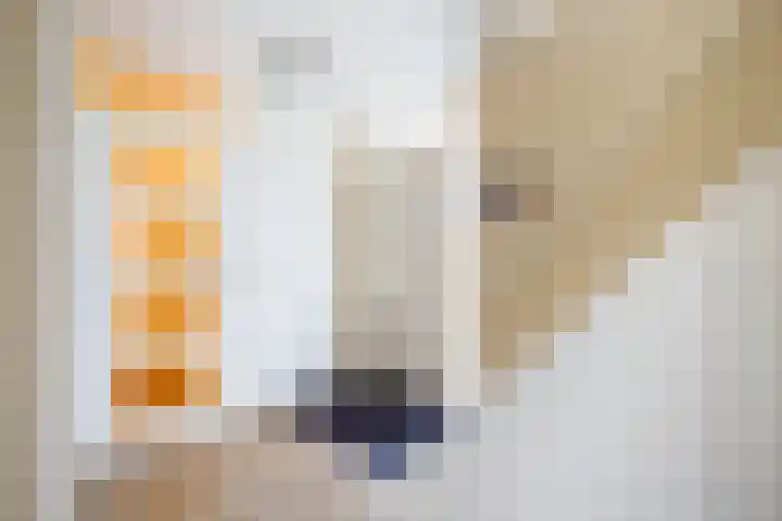 Margrietveld 37 Nieuwerkerk aan den IJssel thumbnail 7