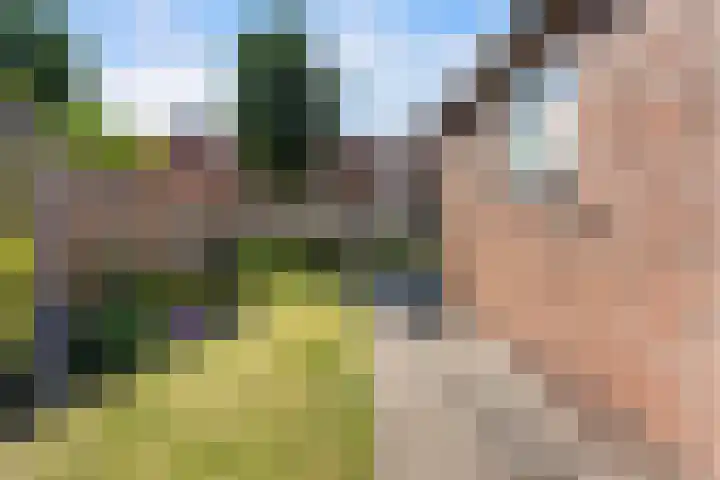 Margrietweg 5 Kinderdijk thumbnail 32