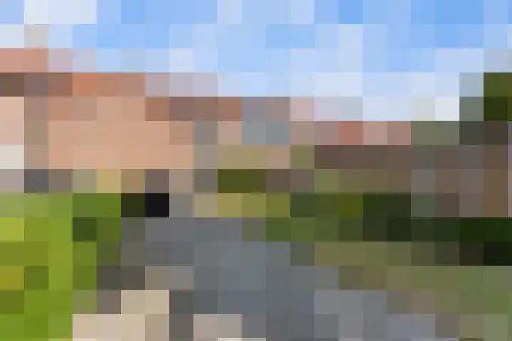 Margrietweg 5 Kinderdijk thumbnail 34