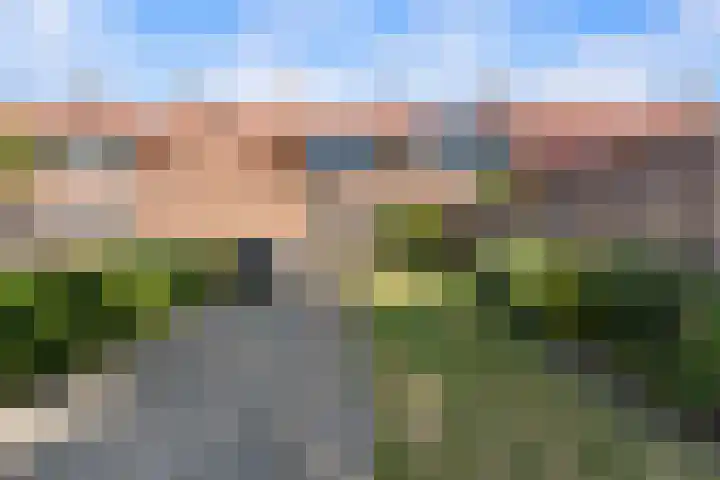 Margrietweg 5 Kinderdijk thumbnail 35