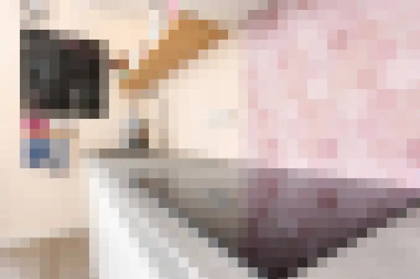 Margrijhof 2 Nootdorp thumbnail 5