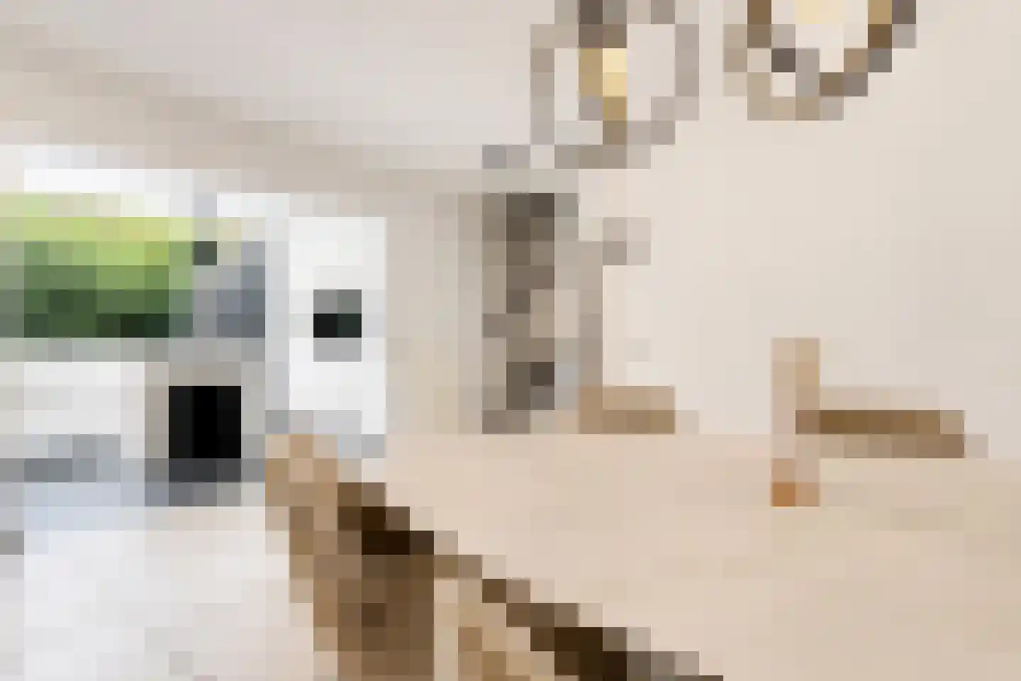 Margrijhof 30 Nootdorp thumbnail 4