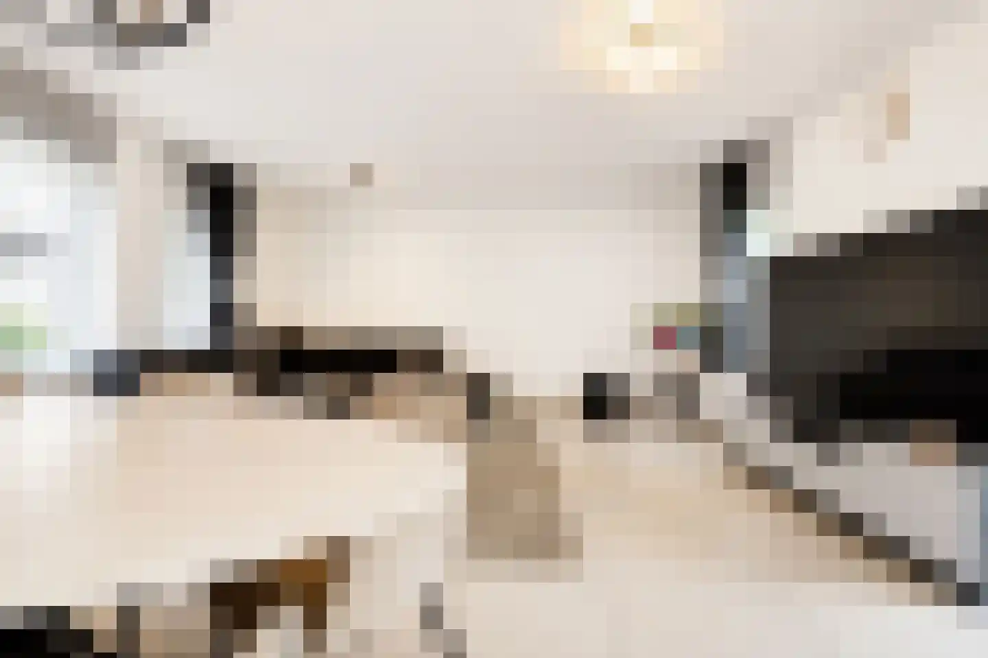 Margrijhof 30 Nootdorp thumbnail 8