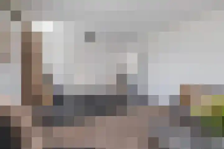 Mari Andriessenhof 10 Hoorn thumbnail 23