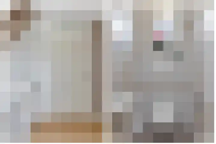 Mari Andriessenhof 10 Hoorn thumbnail 36